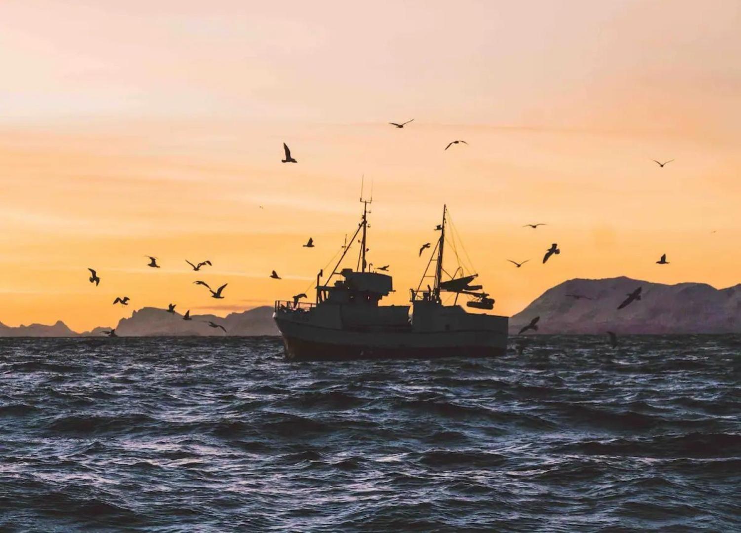Fjordview Ryten 1 Retreat Sund  외부 사진